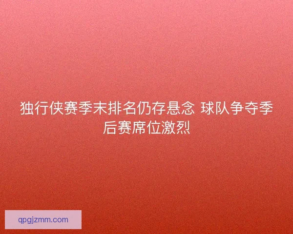 独行侠赛季末排名仍存悬念 球队争夺季后赛席位激烈