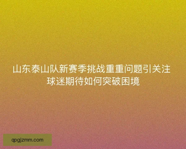 山东泰山队新赛季挑战重重问题引关注 球迷期待如何突破困境
