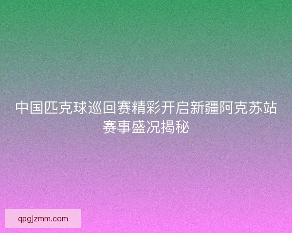 中国匹克球巡回赛精彩开启新疆阿克苏站赛事盛况揭秘