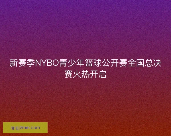 新赛季NYBO青少年篮球公开赛全国总决赛火热开启